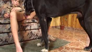 Busty tattooed blonde gets intimate with a massive black Doberman