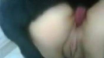 Desi