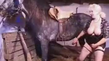 Chubby elderly lady with massive tits attempts to fellate a gigantic pony cock