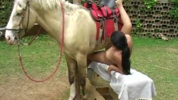 Plump busty Hispanic woman blows an enormous horse dick on the ranch