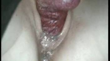 Slender bestiality enthusiast deepthroated and then screwed in the cunt